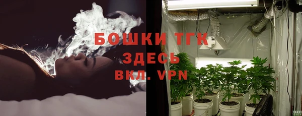 гидра Арсеньев