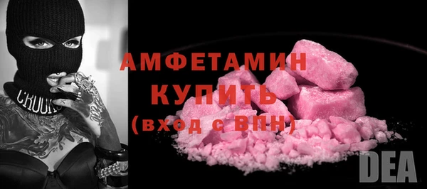 гидра Арсеньев