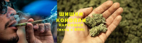 гидра Арсеньев