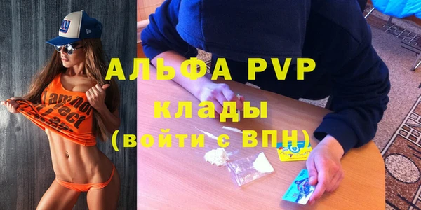 гидра Арсеньев